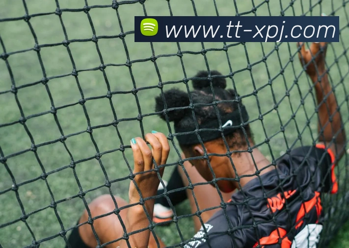 新葡京娱乐平台生态图